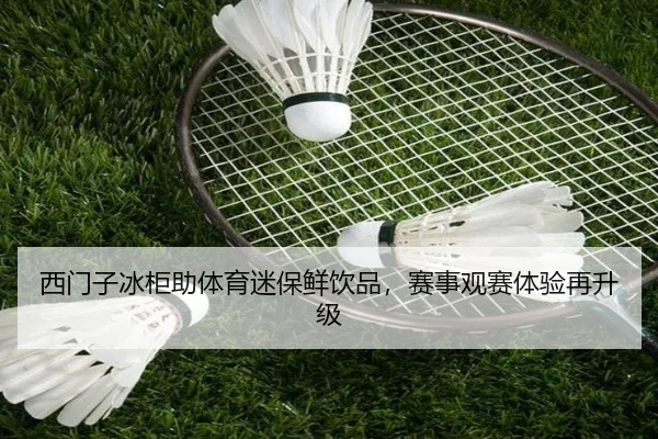 西门子冰柜助体育迷保鲜饮品，赛事观赛体验再升级