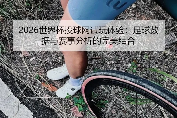 2026世界杯投球网试玩体验：足球数据与赛事分析的完美结合
